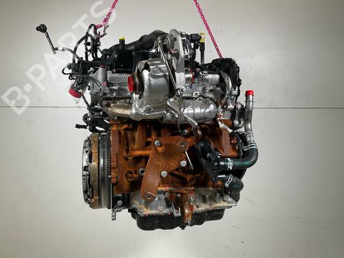 Engine FORD TRANSIT V363 Platform/Chassis (FED, FFD) 2.0 EcoBlue | BP19572951M1 