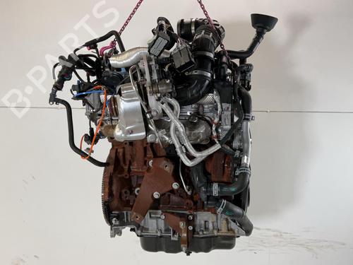 Engine FORD TRANSIT V363 Platform/Chassis (FED, FFD) 2.0 EcoBlue | BP38464300M1 - Image 2
