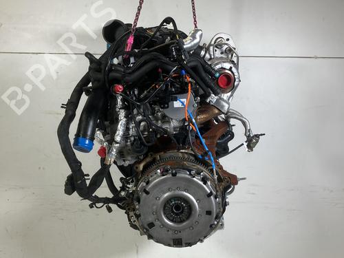 Engine FORD TRANSIT V363 Platform/Chassis (FED, FFD) 2.0 EcoBlue | BP33698075M1 - Image 6