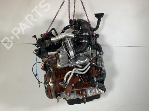 Engine FORD TRANSIT V363 Platform/Chassis (FED, FFD) 2.0 EcoBlue | BP40596448M1 - Image 5