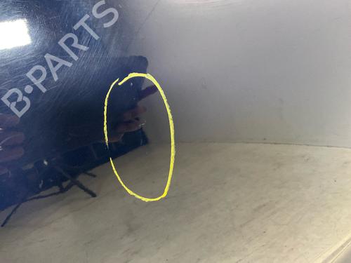Left rear door DACIA SANDERO II 1.2 | BP18877690C4 