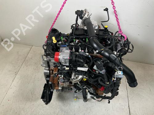 Engine FORD TRANSIT V363 Platform/Chassis (FED, FFD) 2.0 EcoBlue | BP20307987M1 