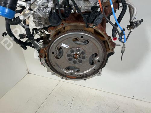 Used Engine Engine FORD TRANSIT V363 Platform/Chassis (FED, FFD) 2.0 EcoBlue (170 hp) 40502000 40502000