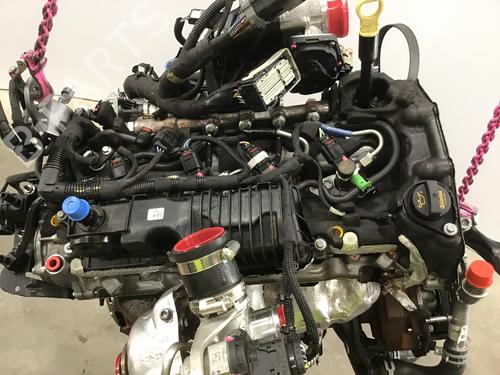 Engine FORD TRANSIT V363 Platform/Chassis (FED, FFD) 2.0 EcoBlue | BP19572951M1