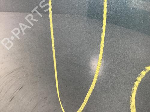 Right front door BMW i3 (I01) Electric | BP27219403C3 