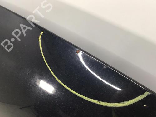 Hood VW PASSAT CC B6 (357) 2.0 BlueTDI | BP32231329C1