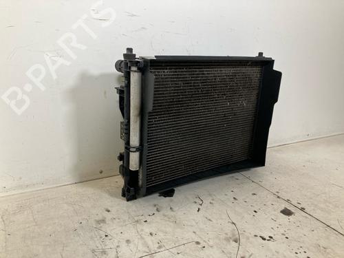 Radiator set DACIA LODGY (JS_) 1.6 SCe 100 (JSAV) | BP21563003M120 