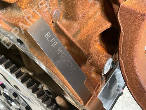 Engine FORD TRANSIT V363 Platform/Chassis (FED, FFD) 2.0 EcoBlue | BP19801426M1 