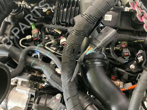 Engine FORD TRANSIT V363 Platform/Chassis (FED, FFD) 2.0 EcoBlue | BP33428908M1  - Image 12