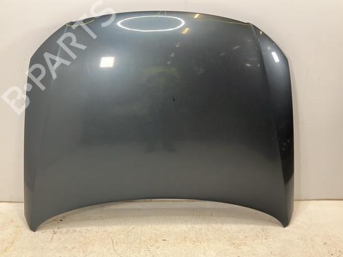 Used Hood Hood VW PASSAT B6 Variant (3C5) 2.0 BlueTDI (143 hp) 34197092 34197092
