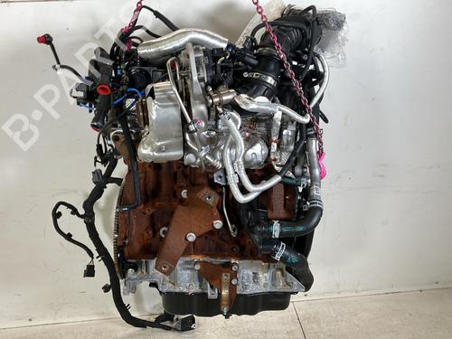 Used Engine Engine FORD TRANSIT V363 Platform/Chassis (FED, FFD) 2.0 EcoBlue (170 hp) 33118887 33118887