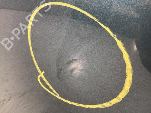 Right front door BMW i3 (I01) Electric | BP27219403C3 