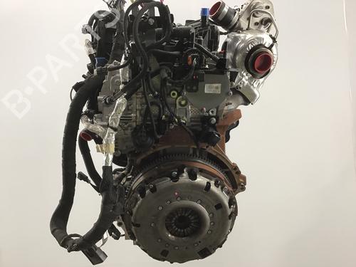 Engine FORD TRANSIT V363 Platform/Chassis (FED, FFD) 2.0 EcoBlue | BP19572951M1