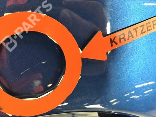 Right rear door BMW 5 (F10) M5 | BP11746581C5