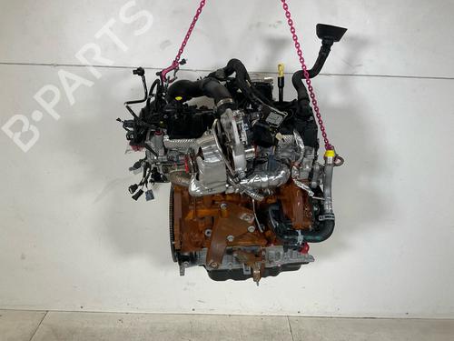Engine FORD TRANSIT V363 Platform/Chassis (FED, FFD) 2.0 EcoBlue | BP19333084M1 