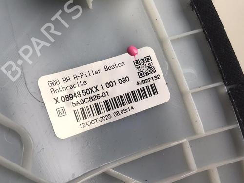 Interior roof BMW X6 (G06, F96) xDrive 40 d Mild-Hybrid | BP30290570I12 