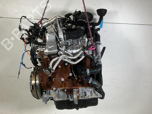 Engine FORD TRANSIT V363 Platform/Chassis (FED, FFD) 2.0 EcoBlue | BP33698075M1 - Image 3