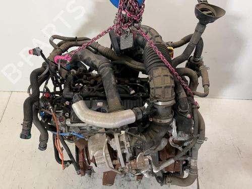 Engine FORD TRANSIT V363 Platform/Chassis (FED, FFD) 2.0 EcoBlue | BP37436994M1 - Image 7