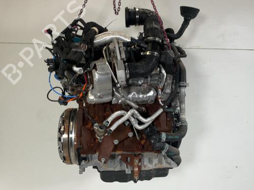 Engine FORD TRANSIT V363 Platform/Chassis (FED, FFD) 2.0 EcoBlue | BP40540141M1  - Image 5