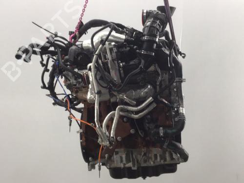 Engine FORD TRANSIT V363 Platform/Chassis (FED, FFD) 2.0 EcoBlue | BP29514806M1 