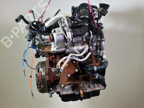Engine FORD TRANSIT V363 Platform/Chassis (FED, FFD) 2.0 EcoBlue | BP34606849M1 - Image 2
