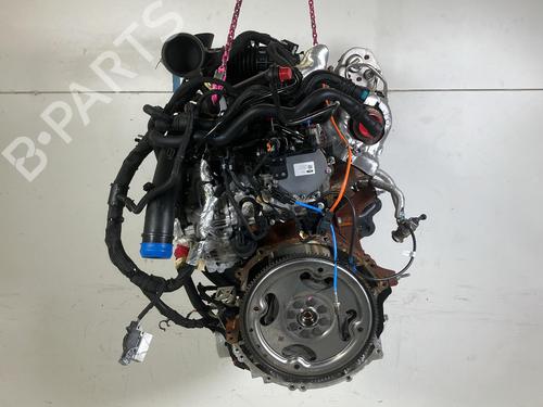 Engine FORD TRANSIT V363 Platform/Chassis (FED, FFD) 2.0 EcoBlue | BP33657090M1 - Image 3