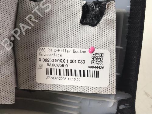 Interior roof BMW X6 (G06, F96) xDrive 40 d Mild-Hybrid | BP30290570I12 