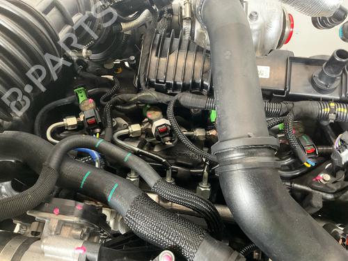 Engine FORD TRANSIT V363 Platform/Chassis (FED, FFD) 2.0 EcoBlue | BP19507569M1 
