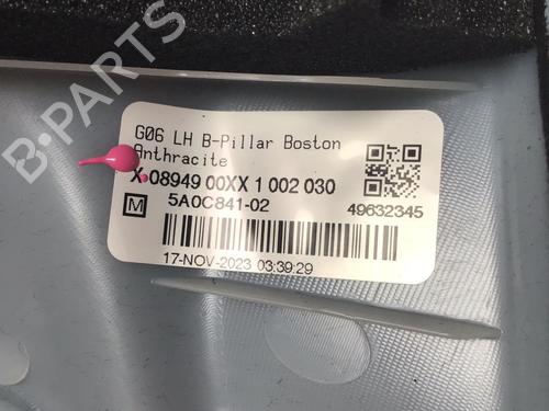 Interior roof BMW X6 (G06, F96) xDrive 40 d Mild-Hybrid | BP30290570I12 
