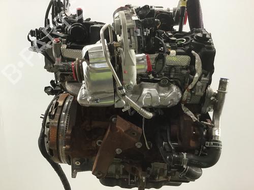 Engine FORD TRANSIT V363 Platform/Chassis (FED, FFD) 2.0 EcoBlue | BP19572951M1