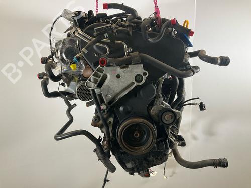 Engine VW GOLF VII (5G1, BQ1, BE1, BE2) 2.0 TDI | BP22966811M1 