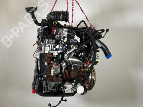 Engine FORD TRANSIT V363 Platform/Chassis (FED, FFD) 2.0 EcoBlue | BP33954104M1  - Image 7