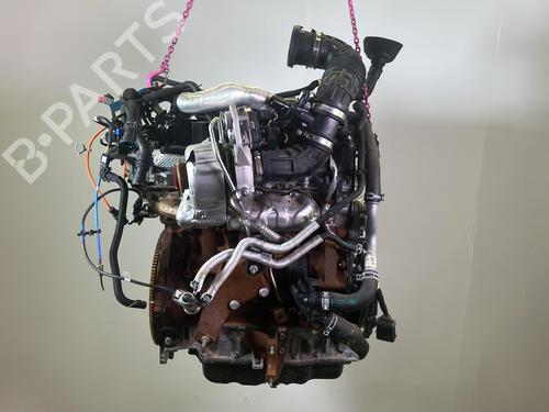Motor Motor FORD TRANSIT V363 Platform/Chassis (FED, FFD) 2.0 EcoBlue (170 hp) 36076618 36076618