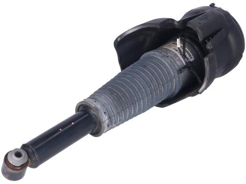 Left rear shock absorber AUDI A8 D4 (4H2, 4H8, 4HC, 4HL) 3.0 TDI quattro | BP11331689M18 