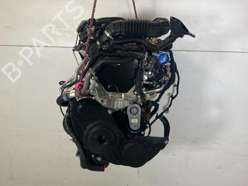 Engine FORD TRANSIT V363 Platform/Chassis (FED, FFD) 2.0 EcoBlue | BP32250395M1 - Image 3