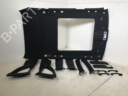 Tetto interno BMW X1 (E84) sDrive 18 d (143 hp) 19673683