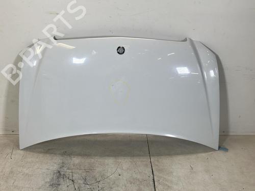 Capot Capot MERCEDES-BENZ VITO Bus (W639) 109 CDI (639.701, 639.703, 639.705) (88 hp) 34197000 34197000