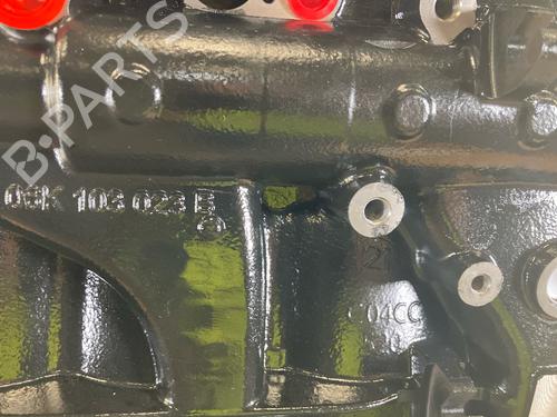 Engine VW GOLF VII (5G1, BQ1, BE1, BE2) 2.0 R 4motion | BP29822491M1 