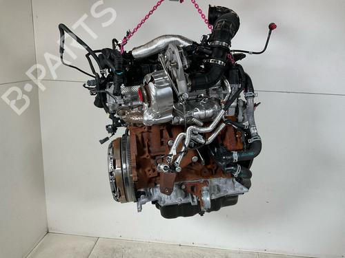 Engine FORD TRANSIT V363 Platform/Chassis (FED, FFD) 2.0 EcoBlue | BP20318726M1 