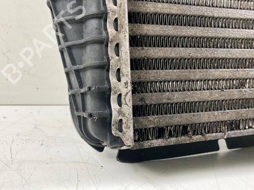 Water radiator VW TOUAREG (7LA, 7L6, 7L7) 3.0 V6 TDI | BP32428002M31