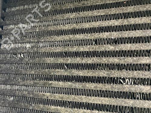 Water radiator VW TOUAREG (7LA, 7L6, 7L7) 3.0 V6 TDI | BP32428002M31