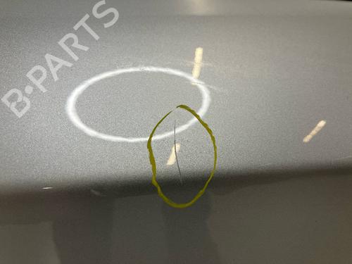 Left front door MERCEDES-BENZ S-CLASS (W222, V222, X222) S 350 BlueTEC / d (222.132, 222.032, 222.123) | BP28134395C2