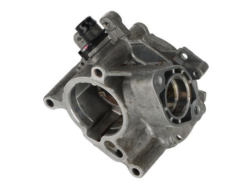 Vacuum pump VW GOLF VIII (CD1, DA1) 2.0 TSI R 4motion | BP17516925M80 