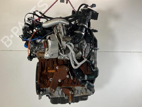 Engine FORD TRANSIT V363 Platform/Chassis (FED, FFD) 2.0 EcoBlue | BP39074499M1 - Image 2