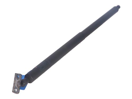 Used Tailgate lift support FORD S-MAX (CJ, WA6) 2.0 EcoBlue 4x4 (190 hp) 22701010