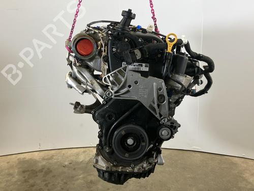 Engine VW TIGUAN ALLSPACE (BW2, BJ2) 2.0 TSI 4motion | BP32084337M1 