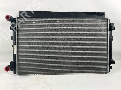 Køler AUDI A3 Sportback (8YA, 8YF) 35 TFSI (150 hp) 17801416