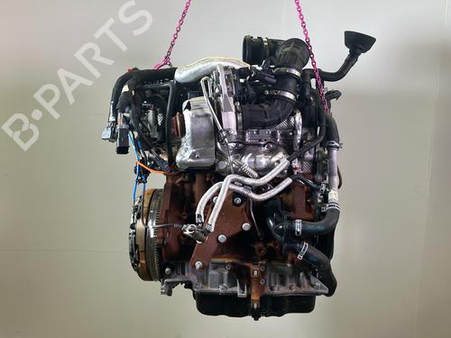 Used Engine Engine FORD TRANSIT V363 Platform/Chassis (FED, FFD) 2.0 EcoBlue (170 hp) 36111461 36111461