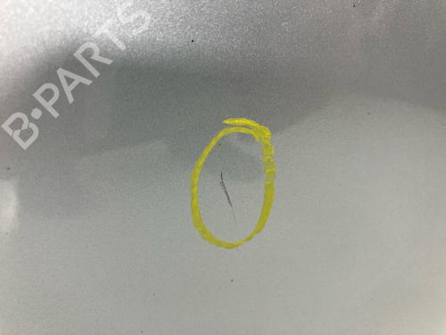 Left front door MERCEDES-BENZ S-CLASS (W222, V222, X222) S 350 BlueTEC / d (222.132, 222.032, 222.123) | BP28134395C2