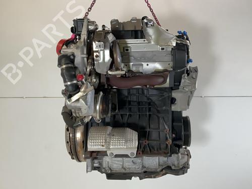 Engine SKODA OCTAVIA IV (NX3, NN3, PV3) 2.0 TDi | BP38048764M1 - Image 2